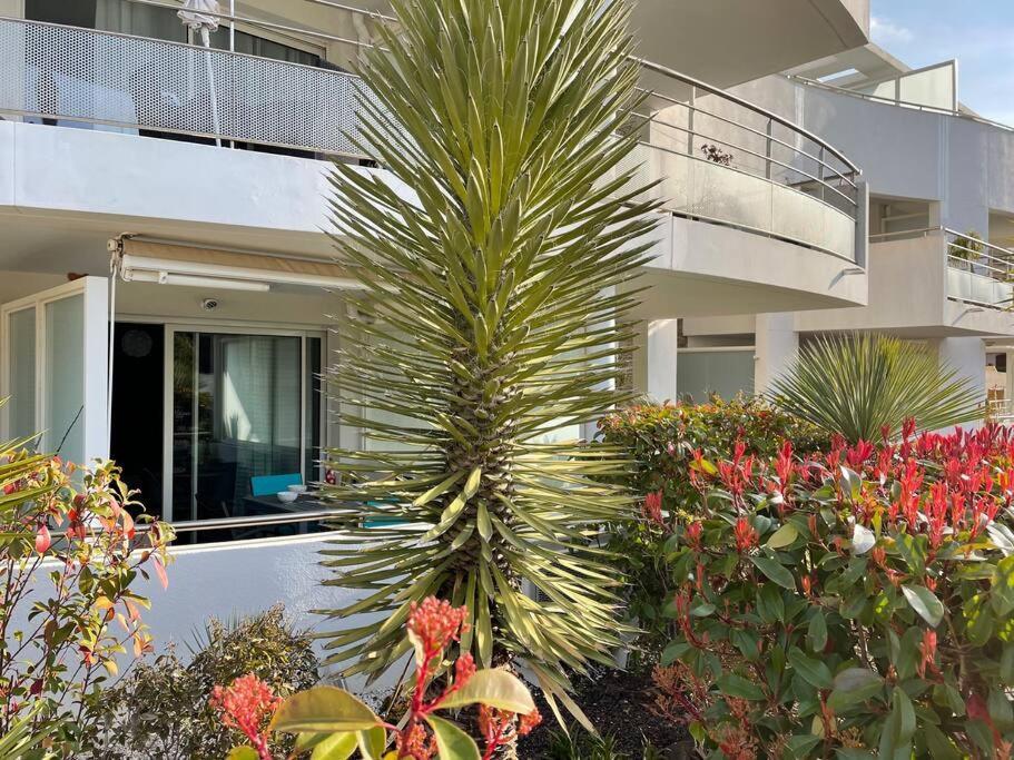 شقة 21 - Tres Agreable Rdc Avec Terrasse Et Parking باندول المظهر الخارجي الصورة