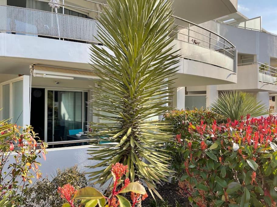 شقة 21 - Tres Agreable Rdc Avec Terrasse Et Parking باندول المظهر الخارجي الصورة
